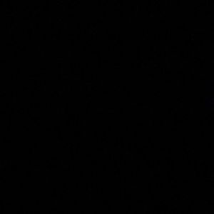 Meet your Posher, Layla